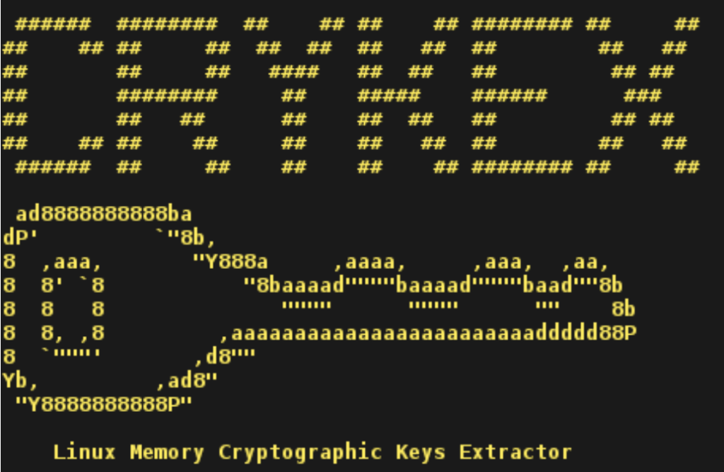 CryKeX - Linux Bellek Kriptografik Anahtar Çıkarıcısı